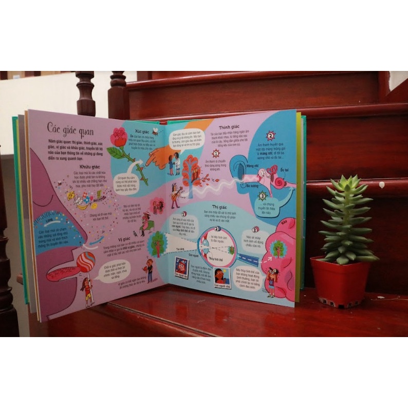 Ảnh Sách tương tác - big book cơ thể người 3