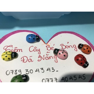Combo 5 bọ tiểu cảnh mini
