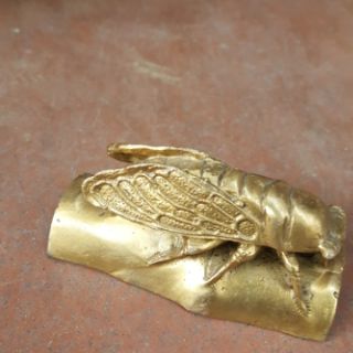 Ve Sầu Hộ Mệnh Trường Tồn Vật Phẩm Phong Thuỷ