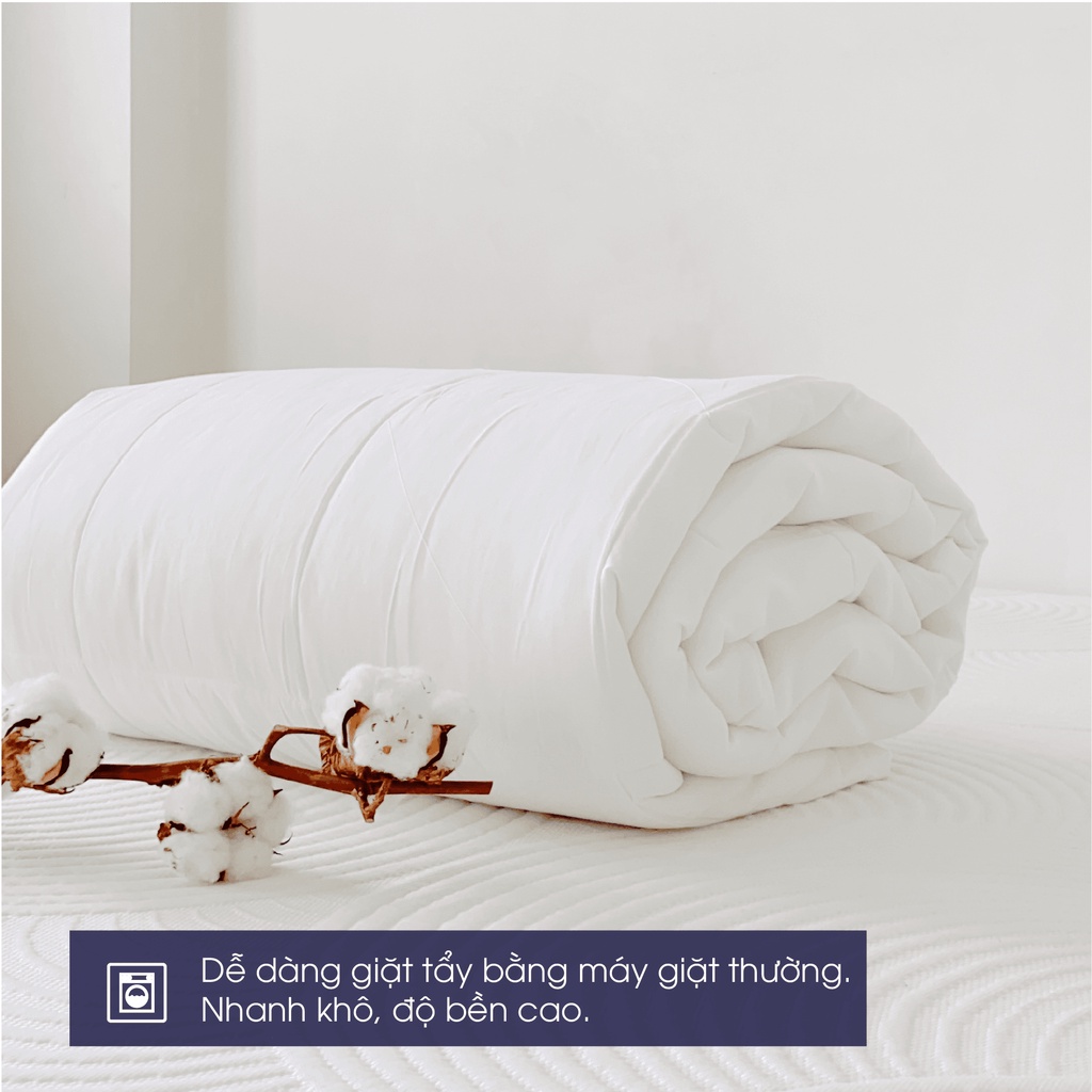 Ảnh Ruột chăn bông gòn Changmi tiêu chuẩn khách sạn 4 sao 4