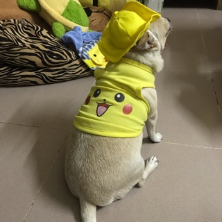 suulee