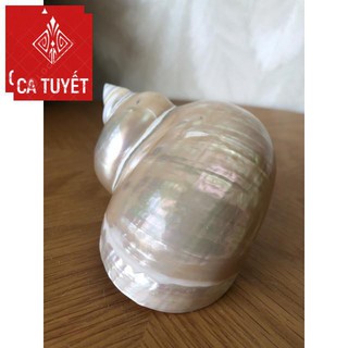 Vỏ ốc khảm xanh mài xà cừ, quà lưu niệm đẹp