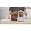 Máy đun nước và hâm nước pha sữa điện tử QUICK 9 Fatzbaby FB3526TN