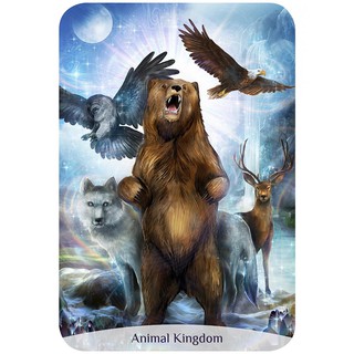 Bộ Bài Sacred Power Reading Cards (Mystic House Tarot Shop) - Bài Gốc Authentic Chính Hãng 100%