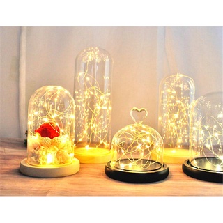[Giao hàng từ Việt Nam] Tấm che bụi HAVENLYCO Terrarium Để bàn Trang trí nội thất Bình thủy tinh Terrarium Đế gỗ