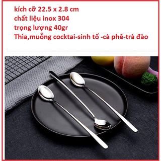 Thìa Đá Xịn INOX 304(1cái) Dài 22cm Siêu Dày Cán Dài Muỗng Khuấy Sinh Tố  HÀNG NHẬP KHẨU