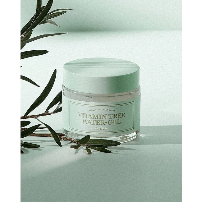 Kem Dưỡng Da I'm From Vitamin Tree Water Gel 75g