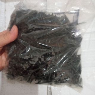 VÍT ĐEN THẠCH CAO GỖ 2,3,4 LOẠI TỐT