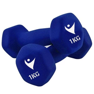 Bộ Cặp Tạ Tay 1kg Bọc Cao Su Nhám Đại Nam Sport (Tổng 2kg)