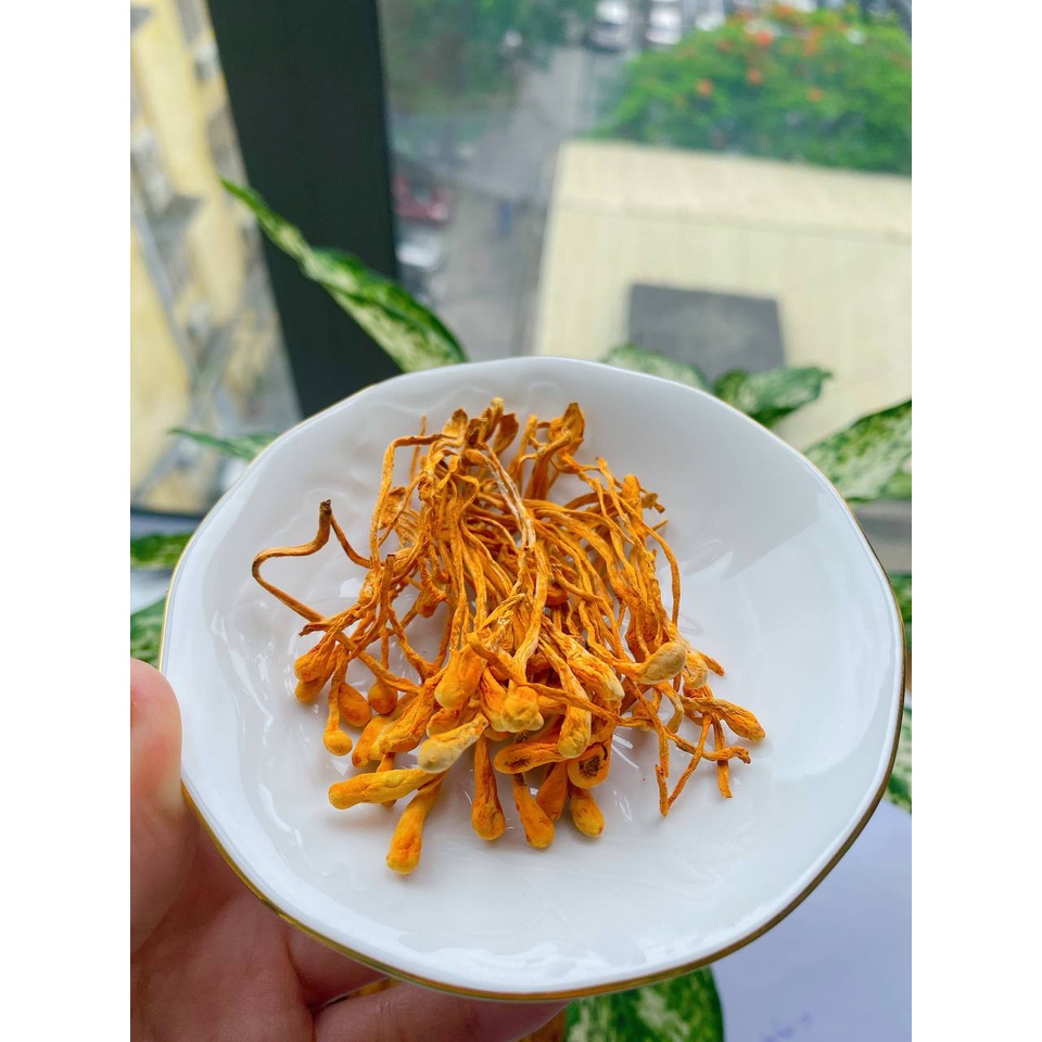 Ảnh Đông trùng hạ thảo thương hiệu Mộc Hương Sơn loại sấy khô 50gr sợi to ngon 2
