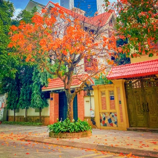 doanhuong141098