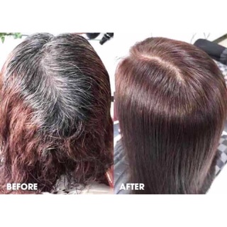 Thuốc Nhuộm Tóc Phủ Bạc | Nhuộm Tóc Bạc Màu Nâu Socola 100G