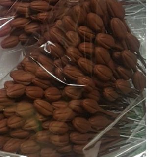 Nụ đào nâu(100sp). Sản phẩm loại 1