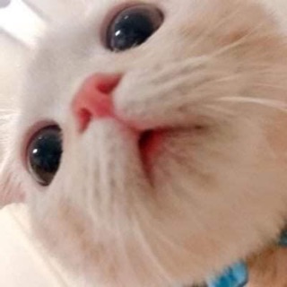 trangle_1802