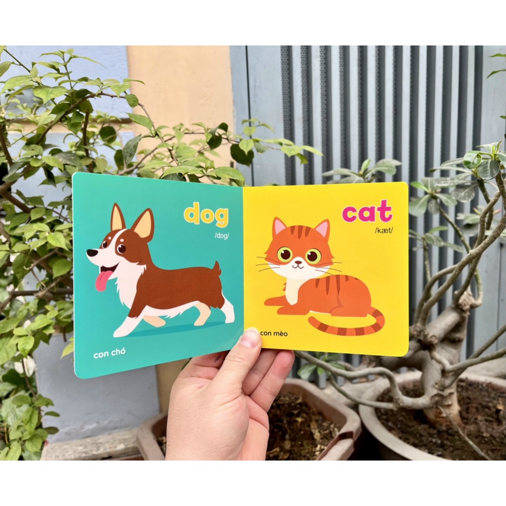 Ảnh Sách - Bộ Bìa Cứng Thư Viện Hình Ảnh Đầu Tiên Cho Bé Về Thế Giới Xung Quanh Baby' First Picture Book (8 Cuốn) 1