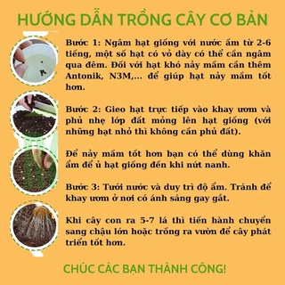 Hạt giống ớt các loại .