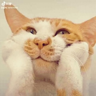 thuyanh1409