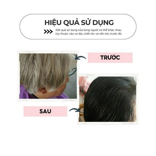 Dầu gội phủ bạc VICCHAMIS màu đen, dầu gội nhân sâm GỘI LÀ ĐEN mềm mượt tóc - Chai 500ml - TOPCHARM