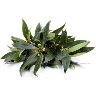 10G Lá Nguyệt Quế Khô/ Lá Thơm/ Bay Leaf - Tạo Mùi Thơm đặc Trưng Cho Món ăn Như Bò Kho, Mỳ Ý, Thịt Nướng