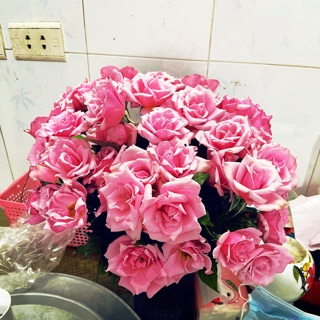 thanhluan8688