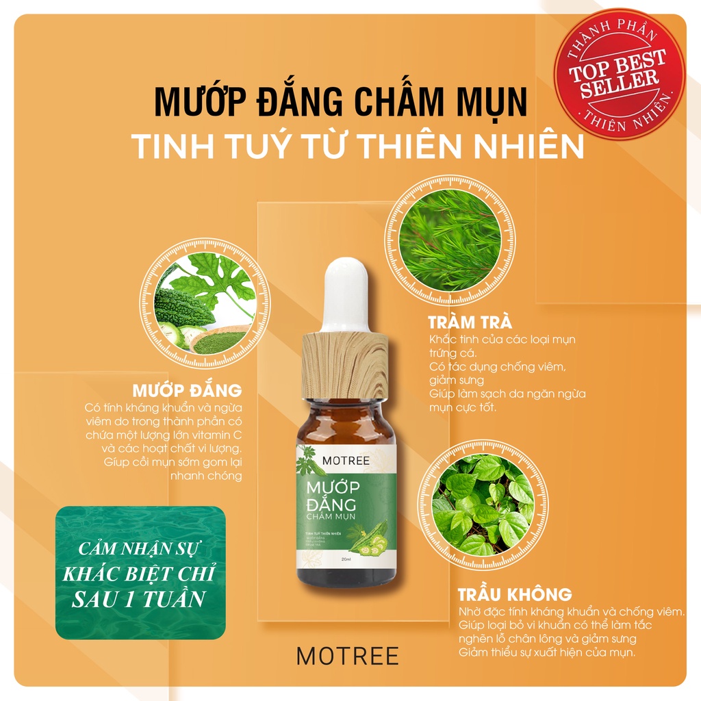 Ảnh Gel chấm mụn MƯỚP ĐẮNG MOTREE 20ML 2