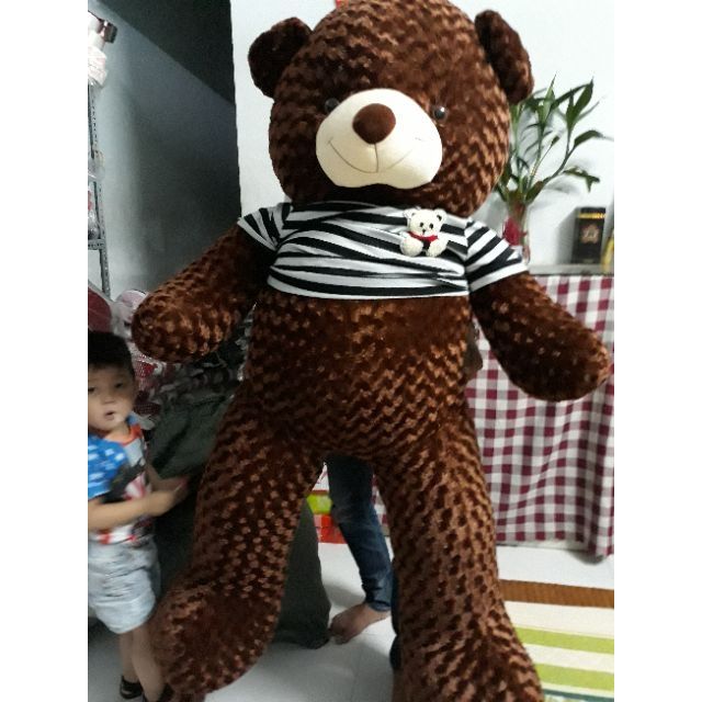Gấu bông to đẹp Hà Nội