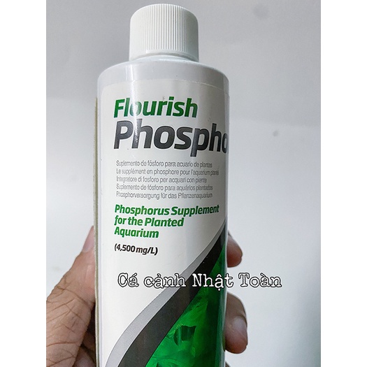 PHÂN NƯỚC CHO CÂY THỦY SINH FLOURISH PHOSPHORUS SEACHEM 250ML