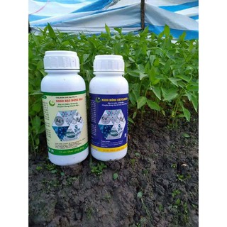 "NANO BẠC ĐỒNG 500ML - GIẢI PHÁP PHÒNG NGỪA VI KHUẨN, NẤM BỆNH, DỪNG BỆNH NGAY SAU KHI PHUN, AN TOÀN CHO CÂY TRỒNG"