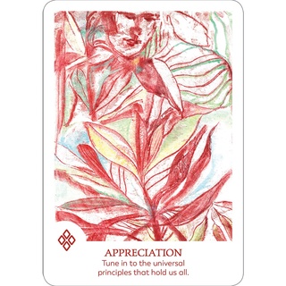 Bộ Bài Findhorn Spirit Oracle Cards (Mystic House Tarot Shop) - Bài Gốc Authentic Chính Hãng 100%