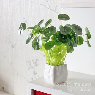 Chậu Cây Giả Lá Sen Cỡ Nhỏ Trang Trí