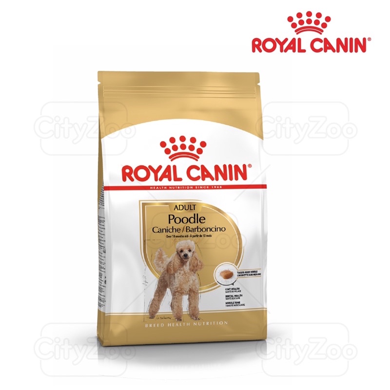 Hạt Cho Chó Trưởng Thành Royal Canin Poodle Adult