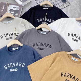 Áo thun 3158 chữ Harvard chất cotton khô mềm mịn dày dặn free size
