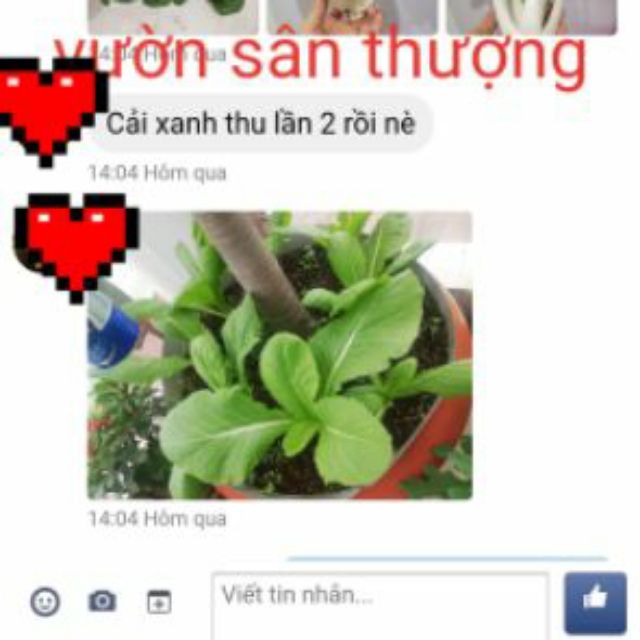 5kg Đất trồng chuyên Rau, Củ, Qủa, Hoa, Trộn Sẵn Đất Đỏ, Tro, Compost, Phân Dê,.. Trồng Ngay
