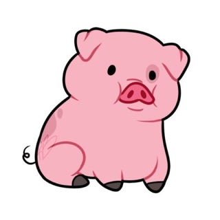 piggalaxy
