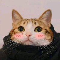 pinkffong