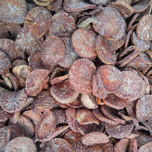 Bình lang hay còn gọi là Hạt cau khô thượng hạng JINDO 1kg