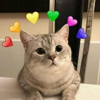 thanh_368