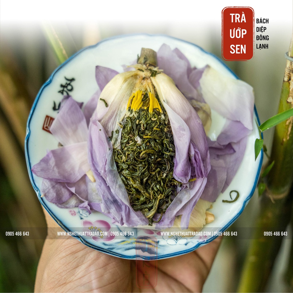 Trà ướp sen bách diệp, trà sen, 1 gói 1 búp