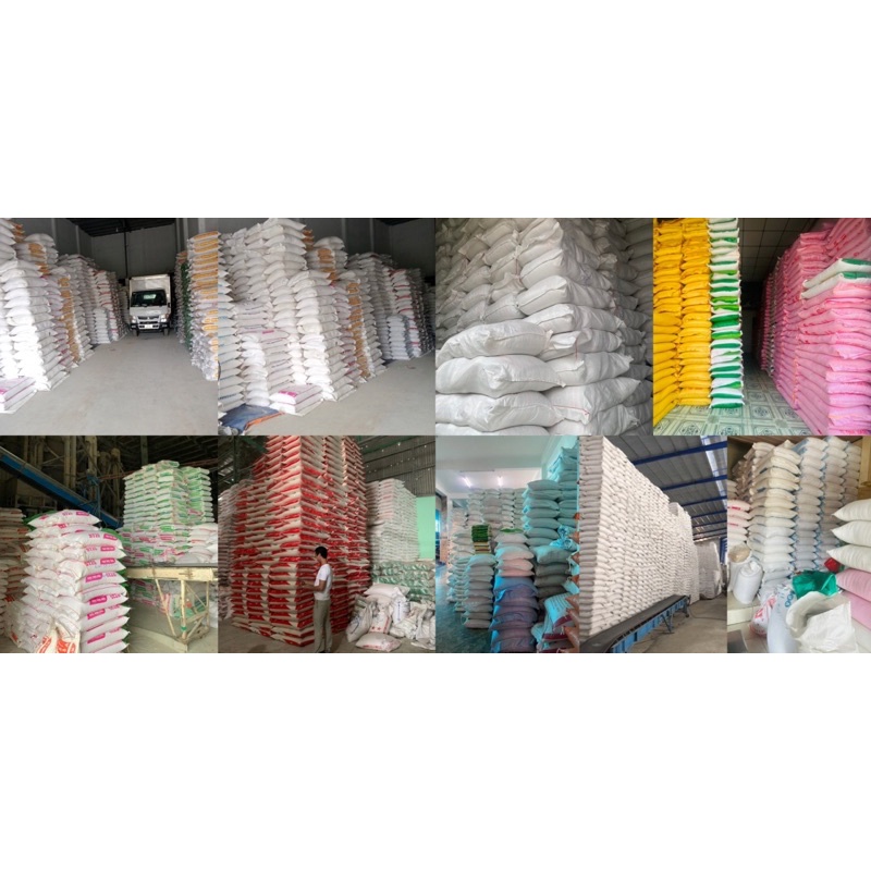 Gạo Thơm Thái  Dẻo Nhiều Thơm Nhẹ (Bao 10ky)