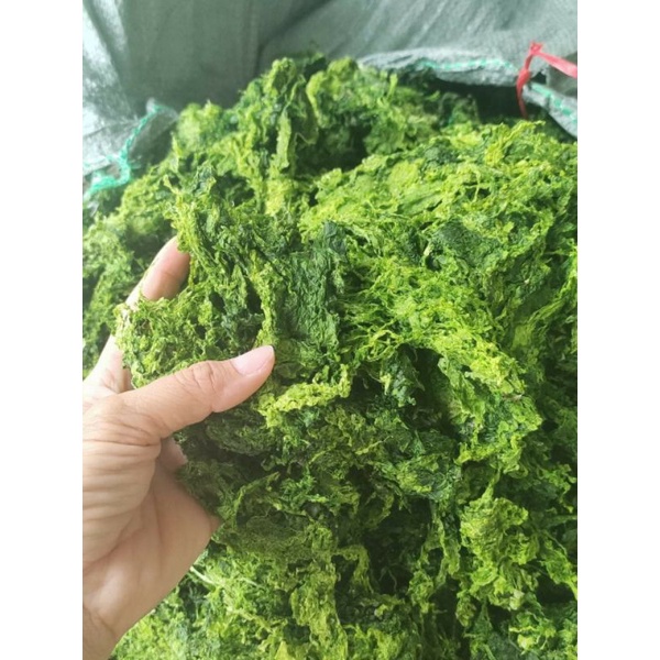 rong biển khô | Shopee Việt Nam