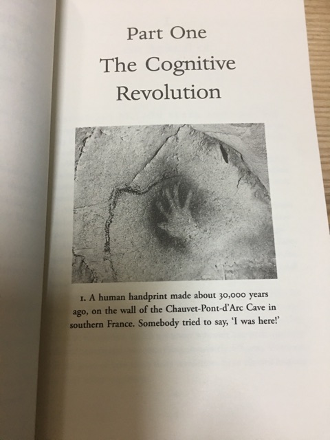 Ảnh Sách Tiếng Anh: Sapiens : A Brief History of Humankind 3