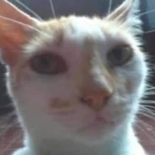 5jlihe7lvd