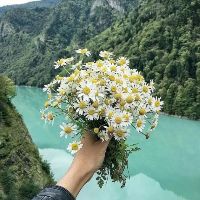 rubi_le_2503