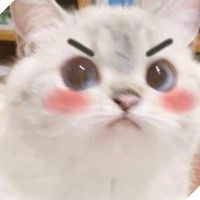 hongz_daoz