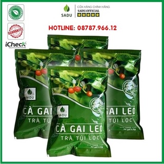 Cà Gai Leo Sadu Trà Túi Lọc 250G 500G 1000G - [Chính Hãng] - Hỗ Trợ Và Bảo  Vệ Lá Gan Của Bạn Hàng Ngày | Shopee Việt Nam