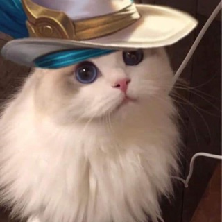 ngcminhnguyn123