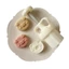 Cc Chất Liệu Nhựa Khuôn Bánh Trung Thu 50g Hình Con Heo Tem Bánh Trung Thu Khuôn Cho Tết Trung Thu DIY Nướng Bánh Trung Thu Chúng Tôi