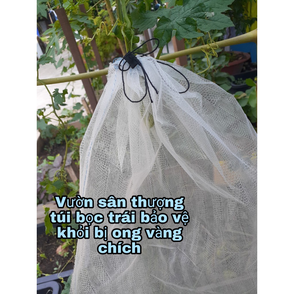 [ 5 Cái] Túi Bao Trái, Hoa Qủa Tránh Côn Trùng Lỗ Nhỏ Thoáng 30* 35 cm Phù Hợp Hầu Hết Các Loại Từ Bưởi, Khổ Qua,..,