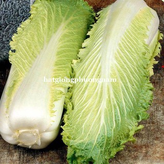 0,5 Gram - Hạt Giống Cải Thảo Nhật Phương Nam