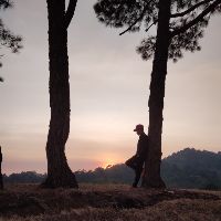 vo.ju.nguon